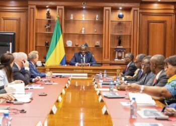 Gabon : Brice Clotaire Oligui Nguema reçoit le Groupe Fortescue pour le lancement du projet Belinga
