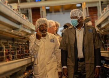 Souveraineté alimentaire : le Président Oligui Nguema accélère la transformation de l’aviculture gabonaise