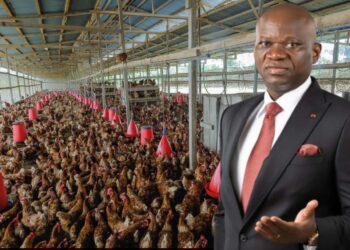 Secteur agricole au Gabon : un financement structurant impulsé par le Brice Clotaire Oligui Nguema pour relancer la production nationale et réduire la dépendance aux importations