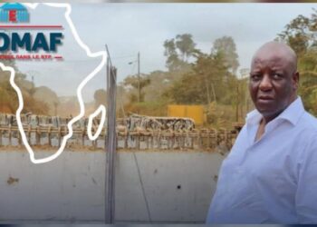 EBOMAF dément toute suspension de ses chantiers au Gabon
