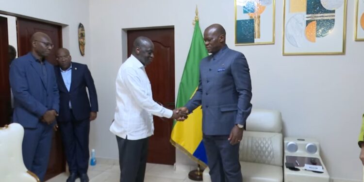 Bangui : Ousmane Diagana, reçu en audience par Brice Clotaire Oligui Nguema
