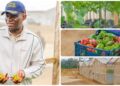Tchibanga : Oligui Nguema mise sur l’agriculture pour bâtir la souveraineté alimentaire du Gabon