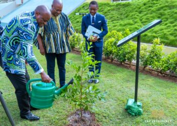 Gabon-Ghana : Brice Clotaire Oligui Nguema et John Dramani Mahama scellent leur rapprochement par la plantation de « l’arbre de l’amitié »