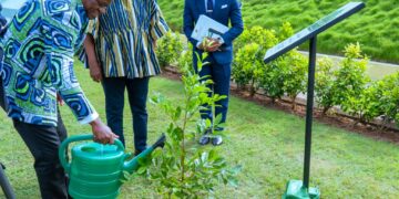 Gabon-Ghana : Brice Clotaire Oligui Nguema et John Dramani Mahama scellent leur rapprochement par la plantation de « l’arbre de l’amitié »