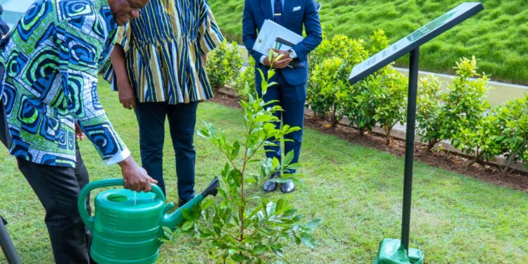 Gabon-Ghana : Brice Clotaire Oligui Nguema et John Dramani Mahama scellent leur rapprochement par la plantation de « l’arbre de l’amitié »