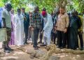 Bakau : le Président Brice Clotaire Oligui Nguema découvre un haut lieu du patrimoine culturel gambien