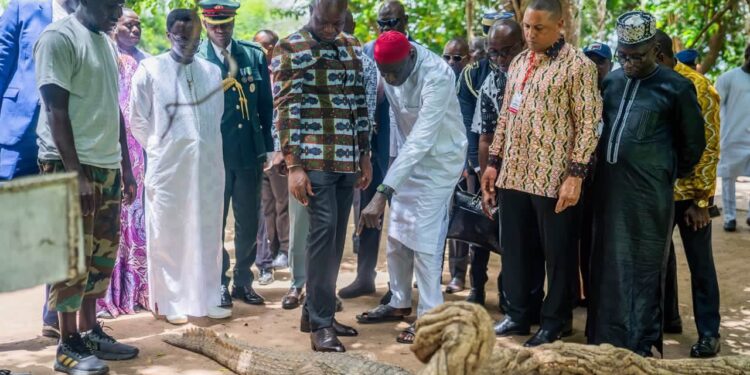 Bakau : le Président Brice Clotaire Oligui Nguema découvre un haut lieu du patrimoine culturel gambien