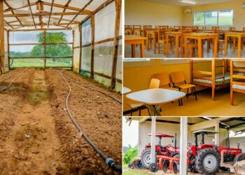 Agriculture : à Oyem, Oligui Nguema mise sur la formation pour préparer le Gabon à l’autosuffisance alimentaire