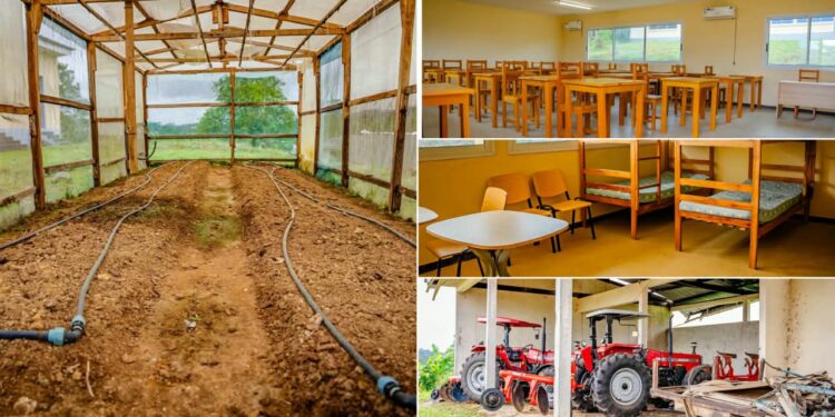 Agriculture : à Oyem, Oligui Nguema mise sur la formation pour préparer le Gabon à l’autosuffisance alimentaire
