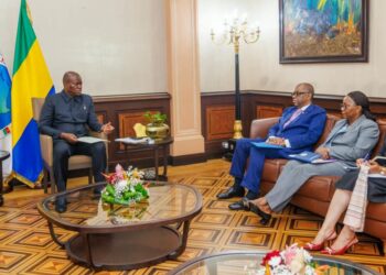 Diplomatie : Alexandre Barro Chambrier rend compte au Chef de l’État de sa mission au Zimbabwe et en Eswatini